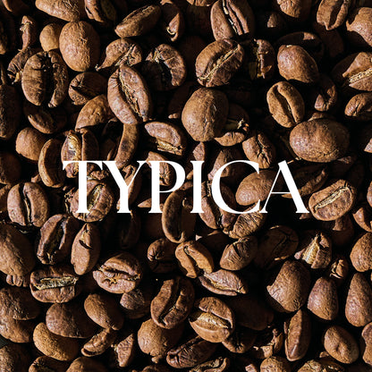 Roasted Ainanani Kona Typica coffee beans